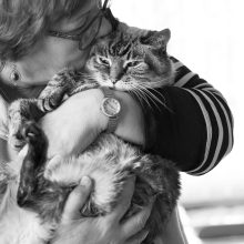 cat-bronte-sayinggoodbye-hug